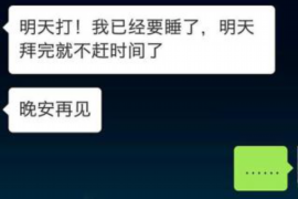 舞阳为什么选择专业追讨公司来处理您的债务纠纷？