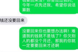 舞阳舞阳的要账公司在催收过程中的策略和技巧有哪些？